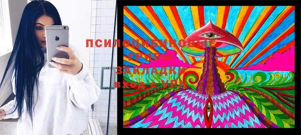 наркотики Алексин