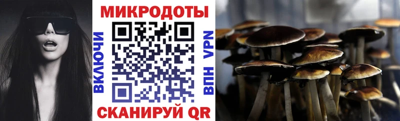 Галлюциногенные грибы GOLDEN TEACHER  Купить  Выборг 